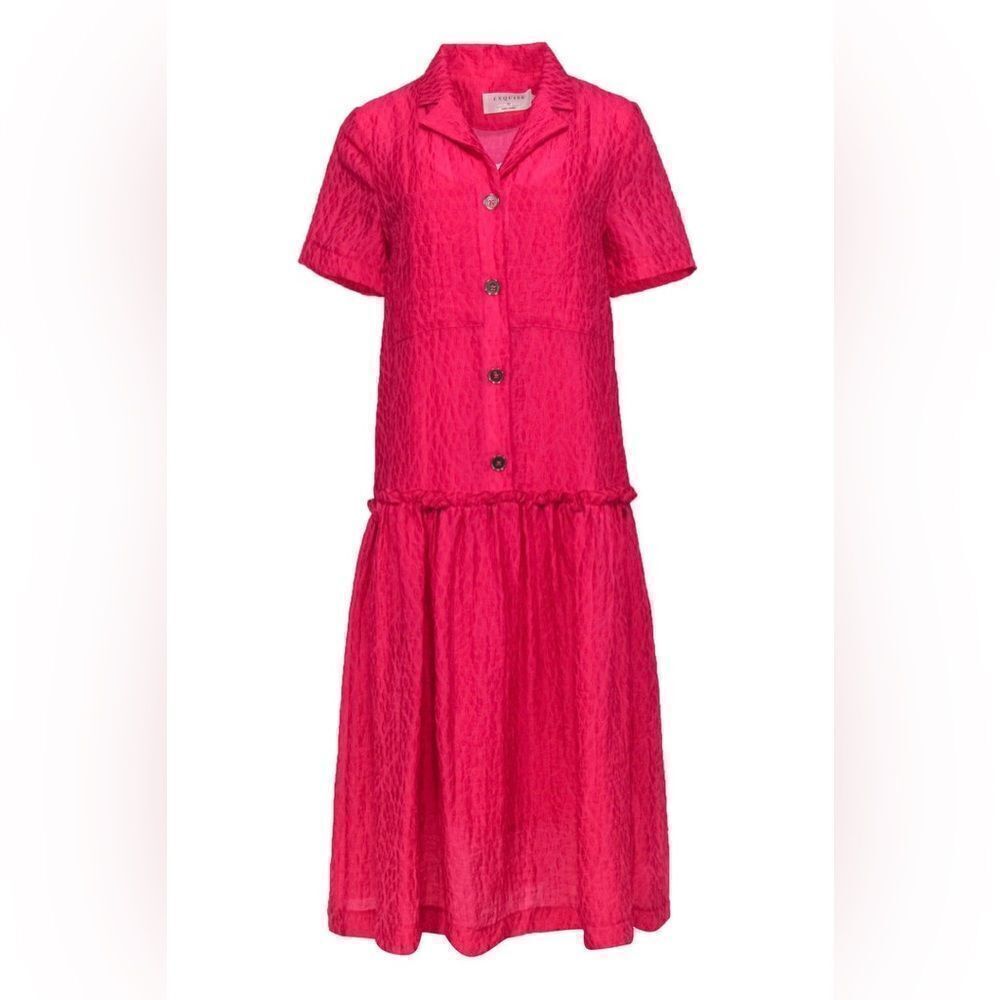 Anthropologie Exquise Deep Raspberry Pink Drop Waist Button-Front Mid Dress